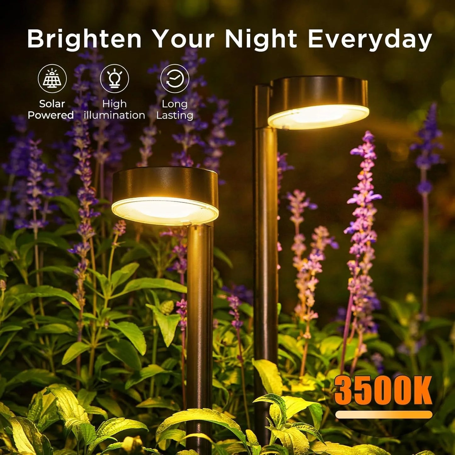 Solar Pathway Lights Outdoor
