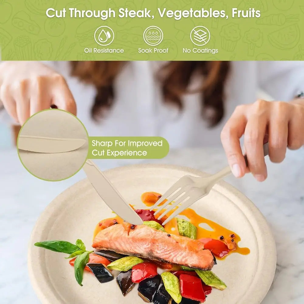 250 Pcs Disposable Paper Plates Set With Cutlery